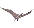 Pteranodon 2