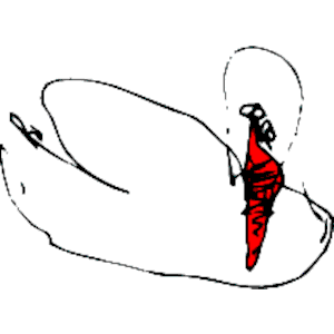 Swan Sketch