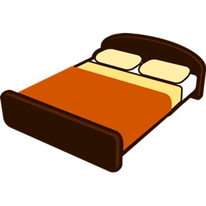 Brown Bed with Brown Blanket