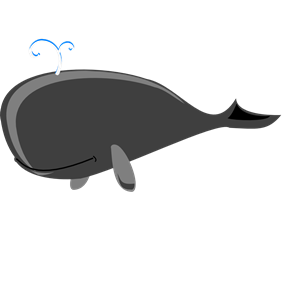 Whale Grey Big