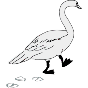 goose Walking