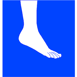 Ankle & Foot