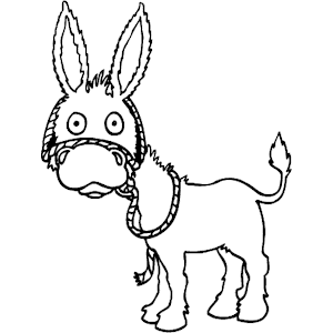 Donkey 002
