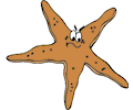 Starfish Angry