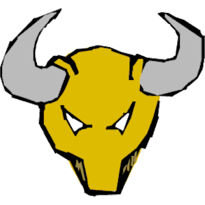 Bull 07