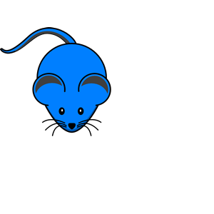 Blue Mouse