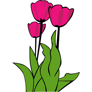 tulips ganson
