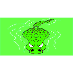 Alligator 04