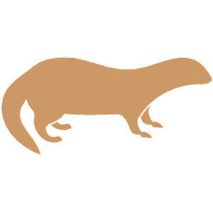 Mongoose 1