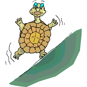 Tortoise Off Balance