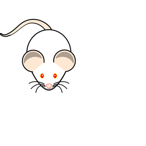 Swiss Mouse
