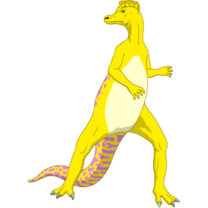 Dinornis 17