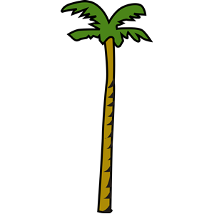 Coconut palm 3