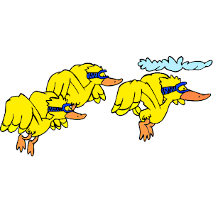 Ducks Flying