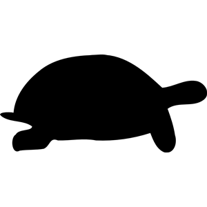 Tortoise silhouette