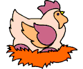 Chicken 24