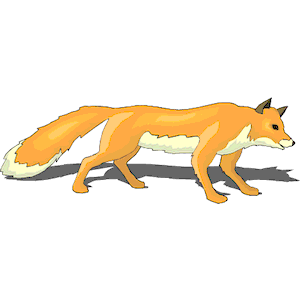 Fox 16