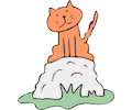 Cat on Rock