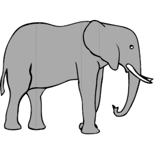 Elephant 13