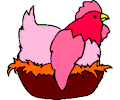 Chicken 25