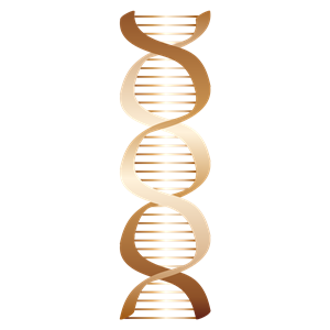 Bronze DNA icon