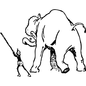 elephant gets a whacking