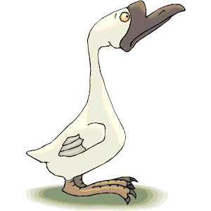 Goose 6