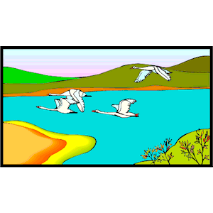 Geese Flying 4