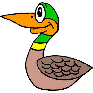 Duck 024