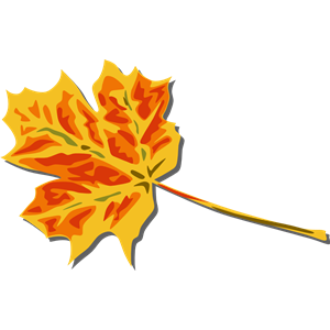 fall coloured leaf geral 01