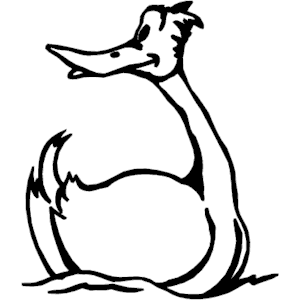 Duck 019