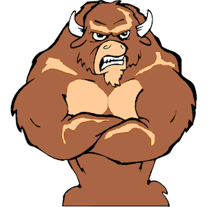 Bull - Angry 5