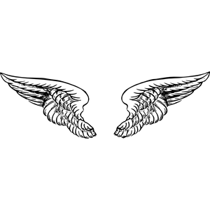 Angel wings 4