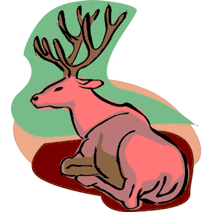 Deer 16