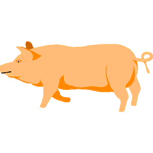 Pig 06