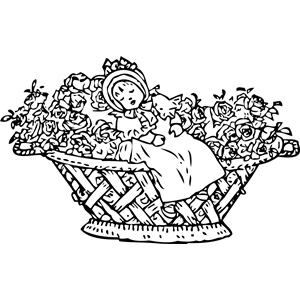 baby in rose basket