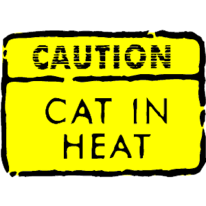 Caution Cat in Heat
