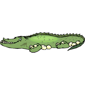 Alligator Guarding Eggs
