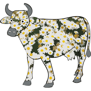 Daisy the cow