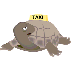 Taxi Turtle