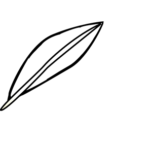 Feather Outline