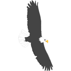 Eagle 27