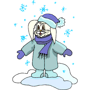 Rabbit in Snow