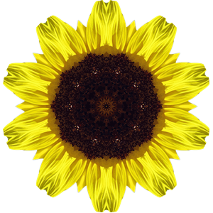 Sunflower kaleidoscope 5