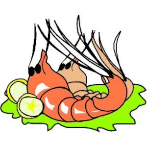 Shrimp 10