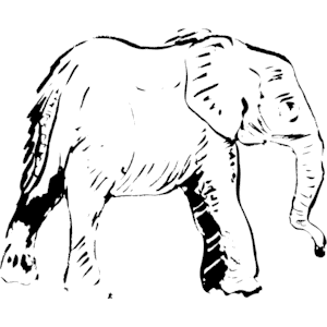 Elephant 001
