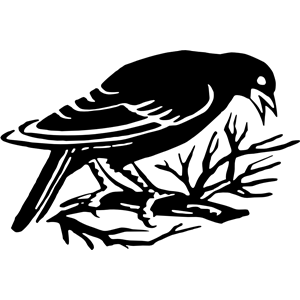 Bird silhouette 2