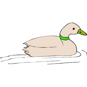 Duck 15