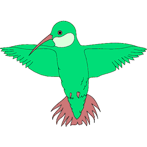 Hummingbird 04
