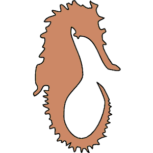 Seahorse 3